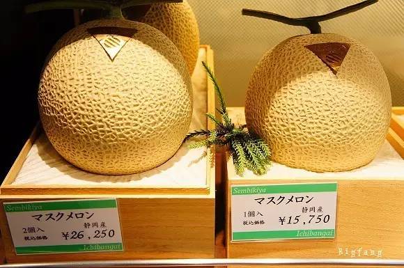 Chỉ giới nhà giàu mới tới cửa hàng này để mua hoa quả với mức giá trên trời - 4
