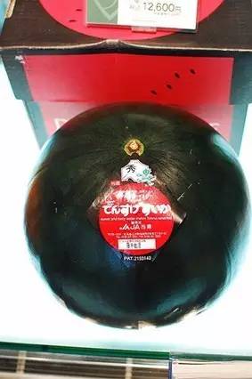 Chỉ giới nhà giàu mới tới cửa hàng này để mua hoa quả với mức giá trên trời - 5