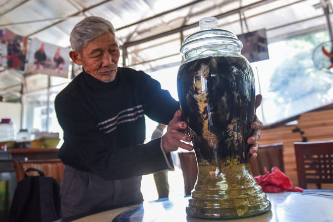 Lão nông ngâm rượu giống “gà chúa”, khách trả trăm triệu cũng không bán - 2