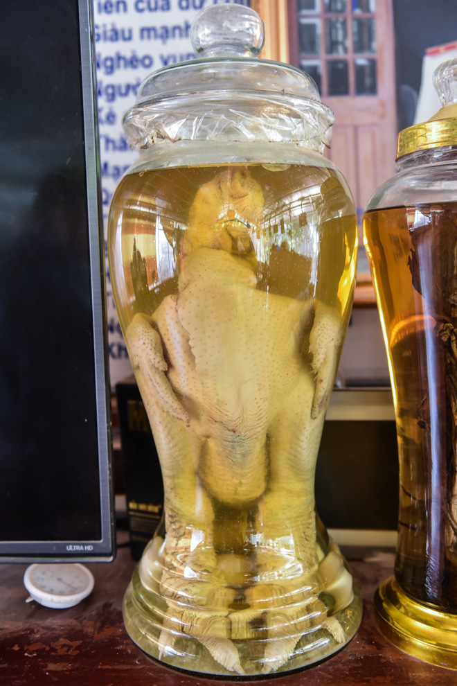 Lão nông ngâm rượu giống “gà chúa”, khách trả trăm triệu cũng không bán - 9