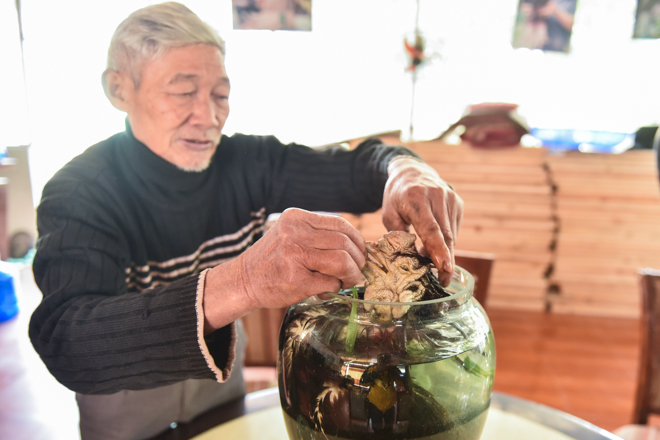 Lão nông ngâm rượu giống “gà chúa”, khách trả trăm triệu cũng không bán - 8