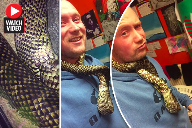 Video: Kinh ngạc cảnh rắn tự ăn thịt chính mình - 1