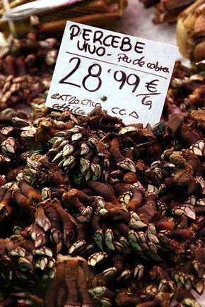 Hãi hùng đặc sản "ngón tay quỷ" - 9