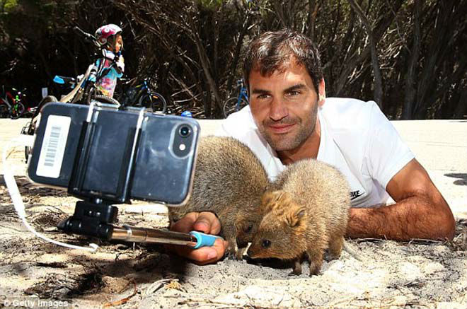 Thảnh thơi như Federer: Đón năm mới đặc biệt ở xứ sở chuột túi - 1