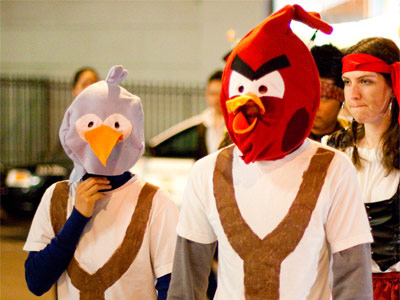 Hội chứng angry birds - 1